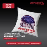 Feed Bantal